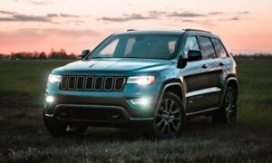 gray bmw x 6 on green grass field during sunset