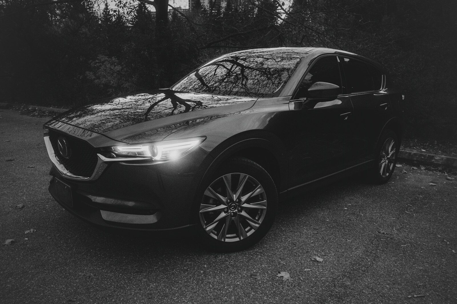 A dark suv parked on a paved road
